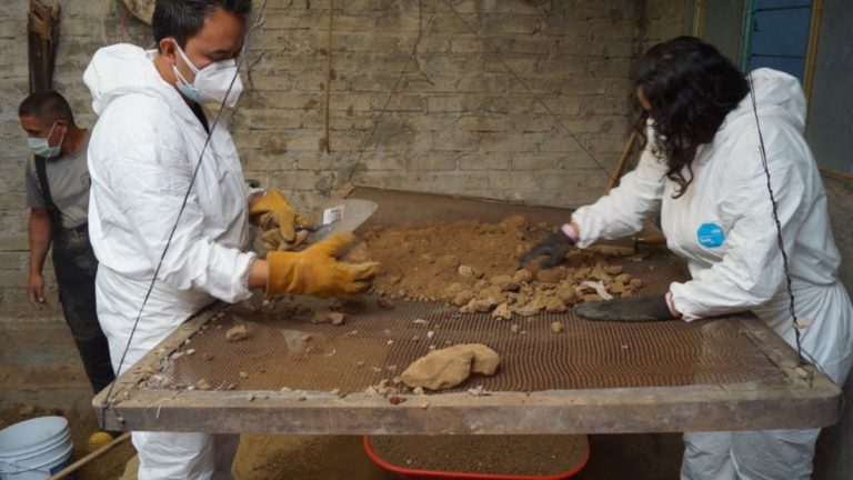 Excursionistas hallan restos humanos en el área donde desapareció Julian Sands 