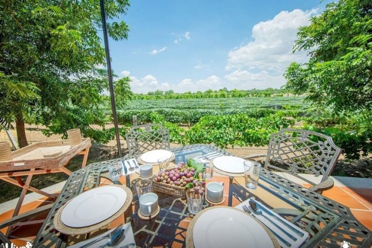 ¿Será seguro asistir a la Ruta del Vino 2021 en Aguascalientes?