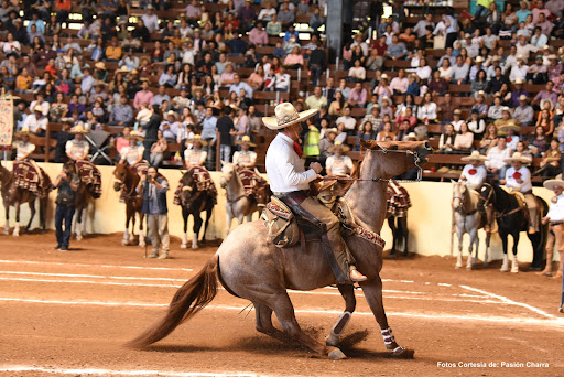A charrear al Pitayo