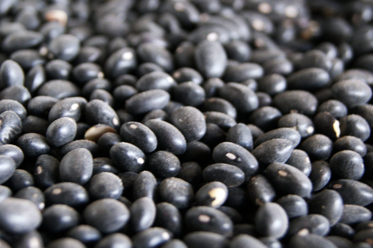 Sólo dos alimentos al día, covid-19 afectó los ingresos de las familias en Aguascalientes