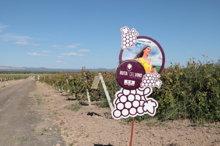 Aun con semáforo naranja, la Ruta del Vino sí se llevará a cabo: Martín Orozco Sandoval
