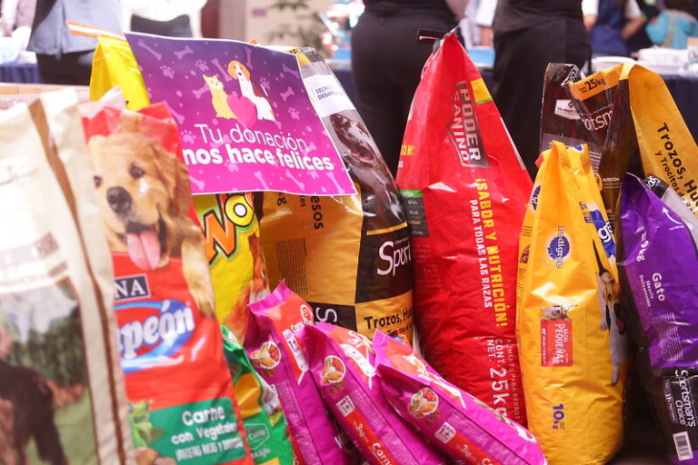 Alcaldesa promueve temática de bienestar animal en el Miércoles Ciudadano