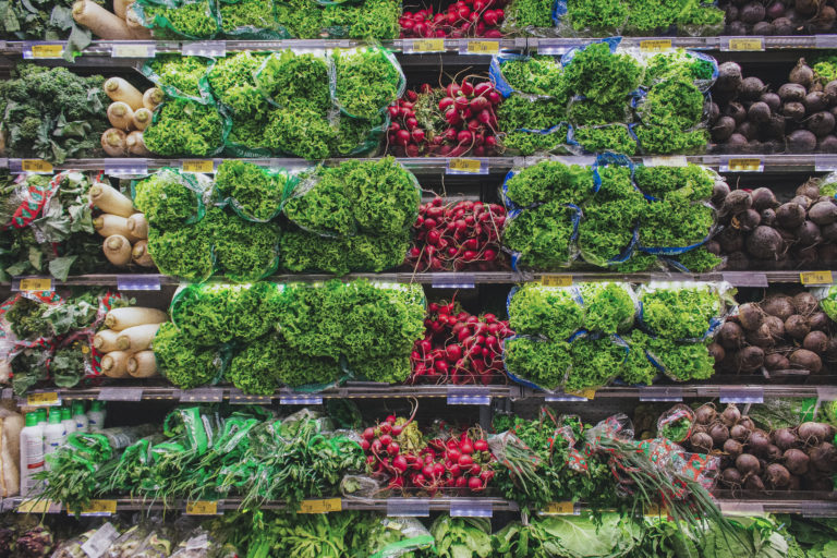 Demandan mayor impulso a la agricultura urbana      