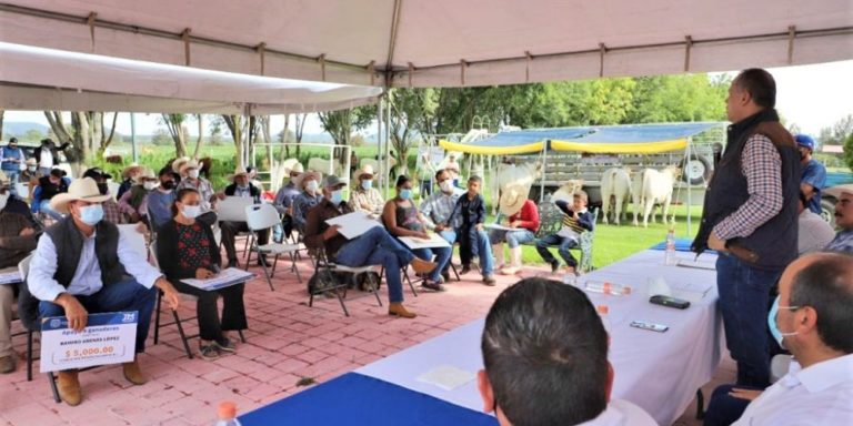 Ganaderos de Jesús María reciben apoyos económicos para la compra de sementales