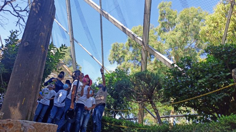 Infantes del curso de verano del IESPA visitan aviario