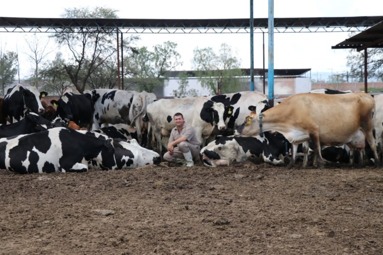 Sedrae reconoce el trabajo de los Médicos Veterinarios