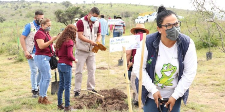 Ayuntamiento de Aguascalientes emprende reforestación en diferentes puntos de la capital