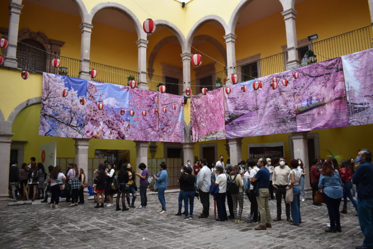 Cerezos en la Casa de la Cultura / Imágenes de Aguascalientes 