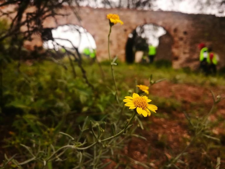 En Aguascalientes, se clausura temporada de las Rutas del Agua