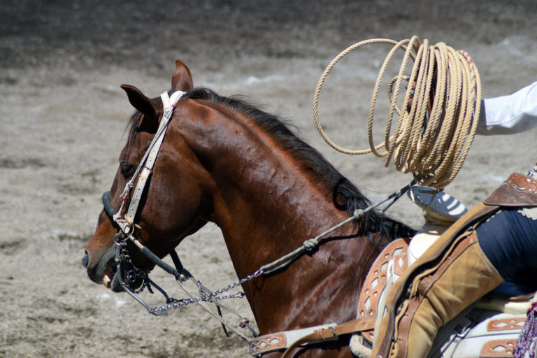 Jesús María seguirá respaldando al arte de la charrería