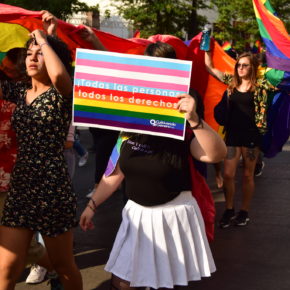 51213464452_efad3f8113_k