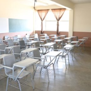 51223544081_cf56d9a2a9_b