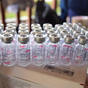 51354845865_df012956bf_k