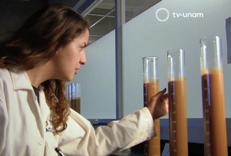 UNAM crea el Instituto de Ciencias de la Atmósfera y Cambio Climático