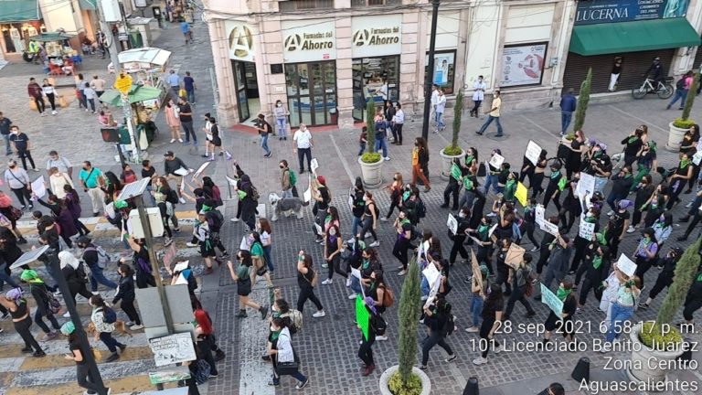 Presente la CDHEA en la marcha feminista