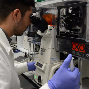 Conacyt-recortes-investigadores1-220519