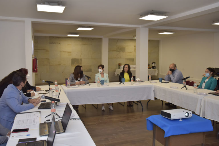 DIF Estatal aprobó asignaciones de infantes para adopción y familia de acogida