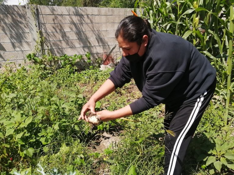 En Aguascalientes, DIF Estatal capacita a familias de zonas vulnerables para que adopten estilos de vida saludables 