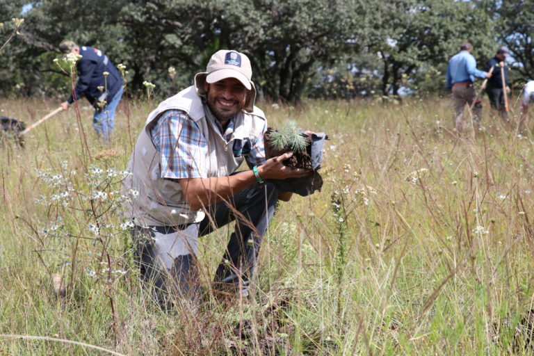 Más de 12 mil árboles se plantaron en todo el estado de Aguascalientes