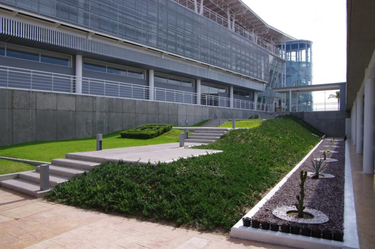 Confirman a nuevo director del CIDE pese a demandas estudiantiles