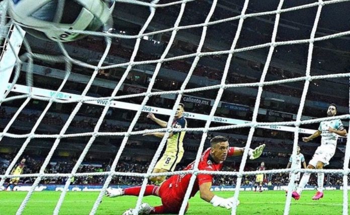 La Cofece multa a la FMF y 17 clubes con 177.6 mdp por prácticas monopólicas absolutas