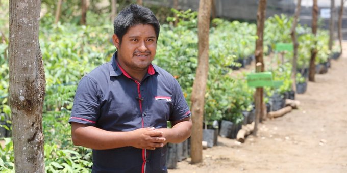 Los proveedores consentidos de Sembrando Vida en Veracruz