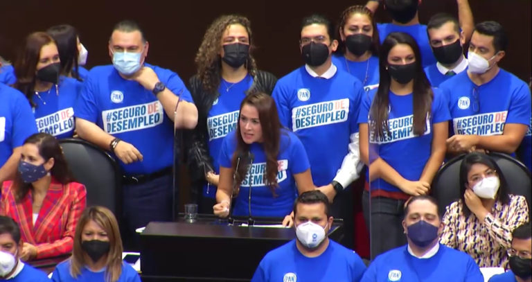 Desde el Congreso, propone Tere Jiménez seguro de desempleo