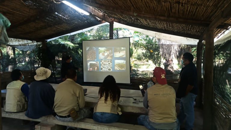 SSMAA capacitó al personal de Medio Ambiente de Jesús María en la atención de plantas de ornato