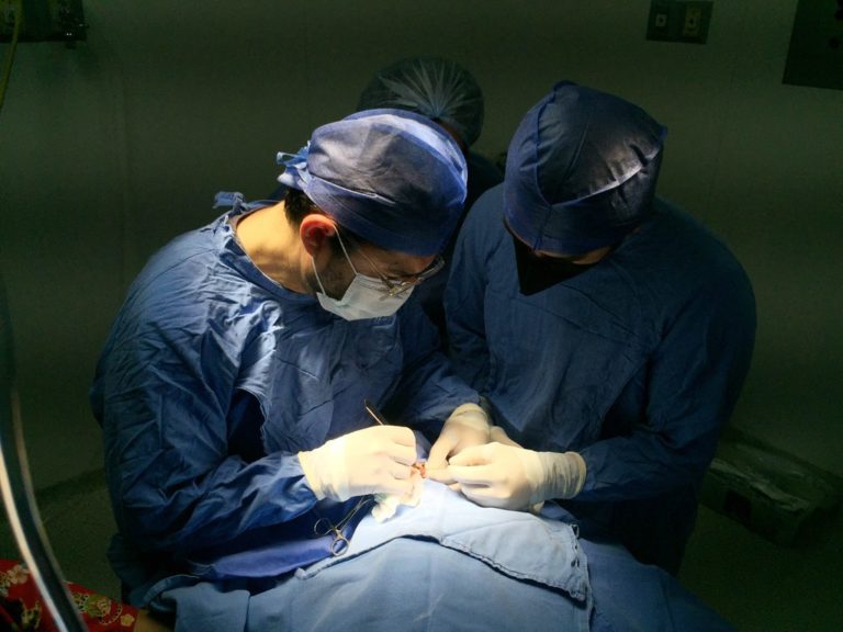 Analizarán la figura de la objeción de conciencia desde el Congreso del Estado