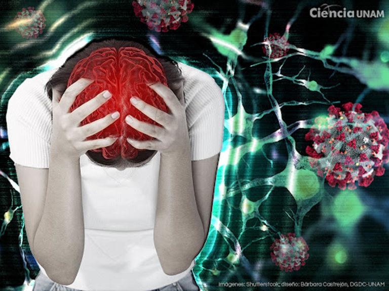 Nuevos miedos por la emergencia sanitaria 