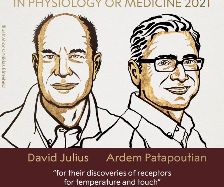 David Julius y Ardem Patapoutian ganan el Nobel de Medicina por allanar el camino a nuevos analgésicos