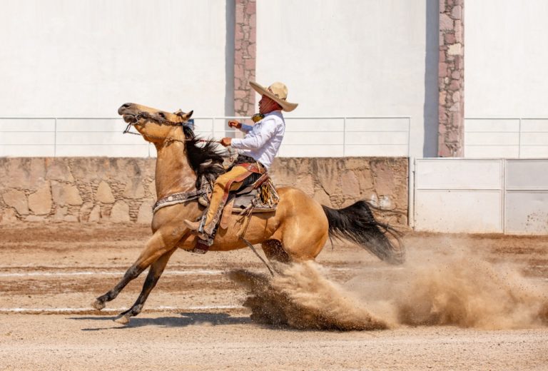 El programa completo del LXXVII Congreso y Campeonato Nacional Charro