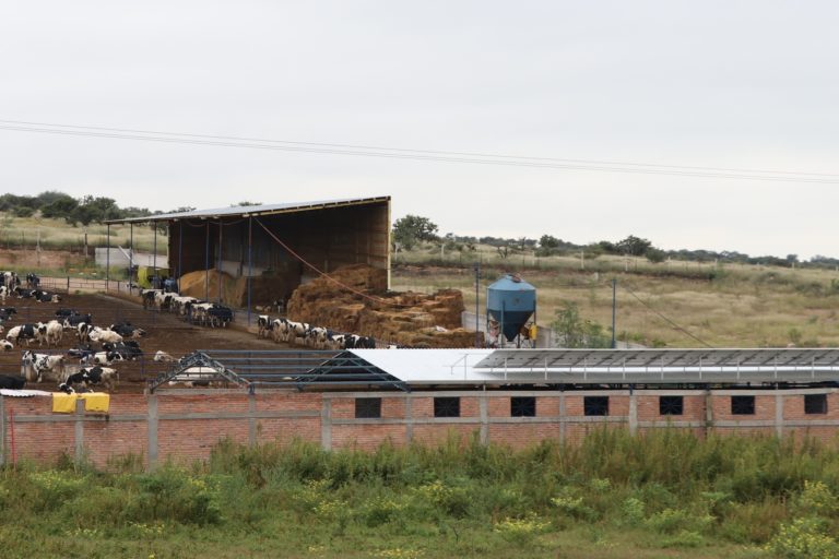 Sedrae apoyó a agroindustrias para instalar paneles solares