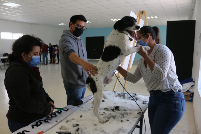 Promueven la tenencia responsable de mascotas en Calvillo       