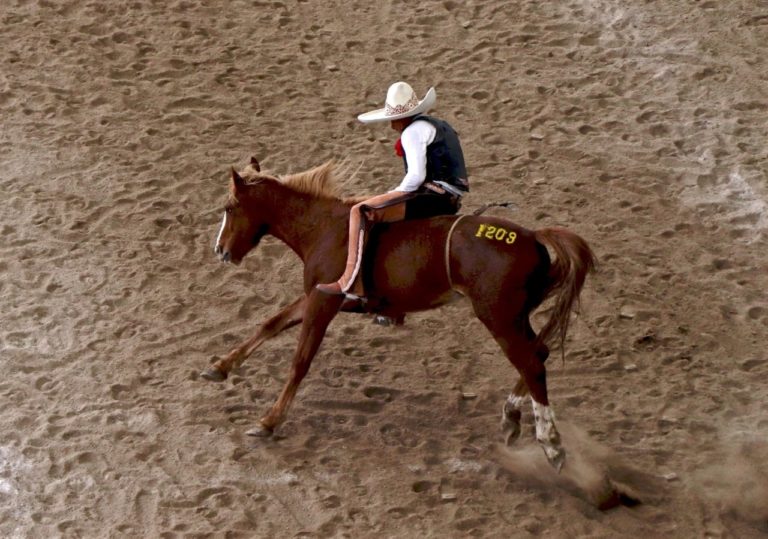 Fuerza Mexiquense y Puente de Camotlán clasifican a cuartos de final del Campeonato Nacional Charro