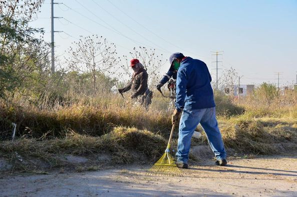 Realizan jornada masiva en Bosque de Cobos, Aguascalientes.