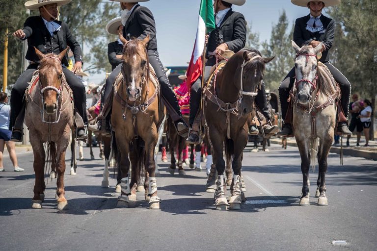 Expo Agroalimentaria y Expo Ganadera se fusionarán en el Congreso Nacional Charro de Aguascalientes