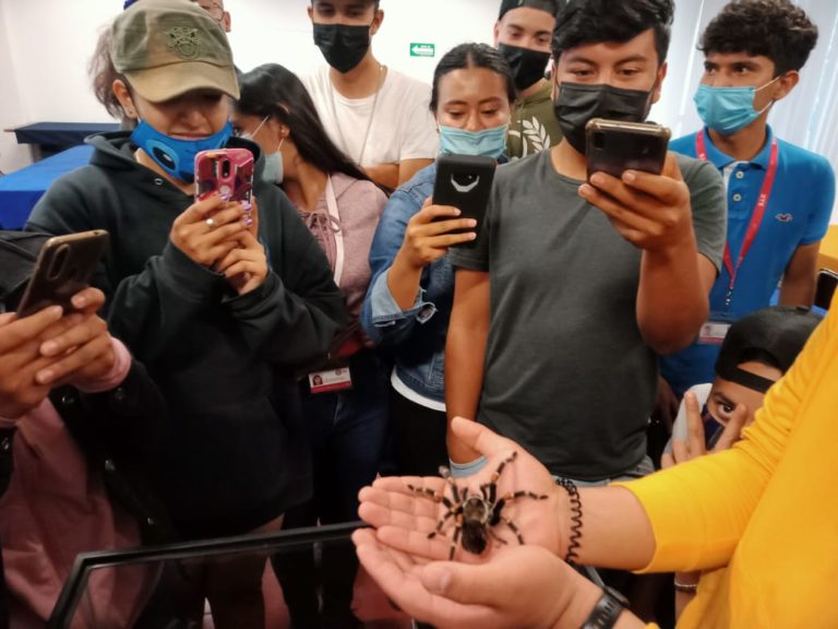 Ofrecen  a estudiantes el taller El mundo de los insectos