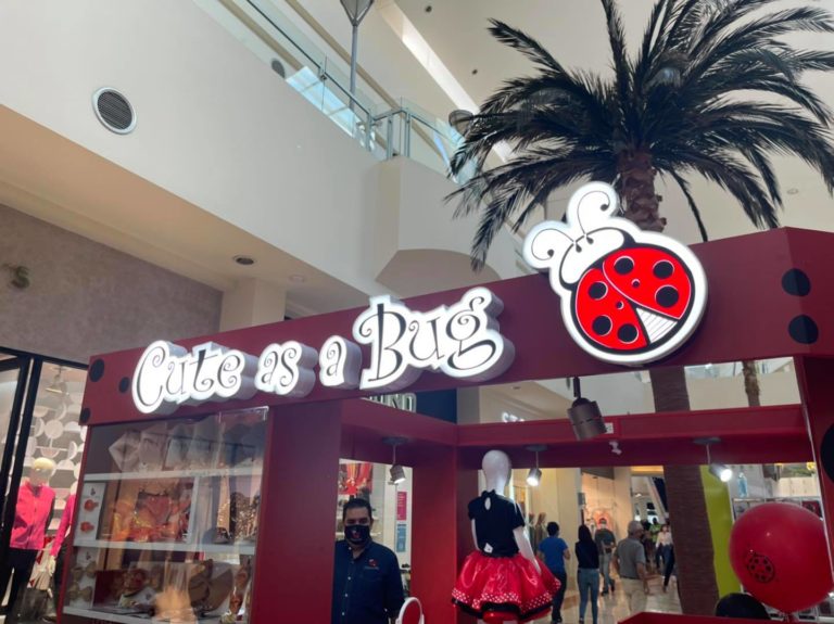 Cute as a Bug: la marca de Aguascalientes que traspasa fronteras internacionales