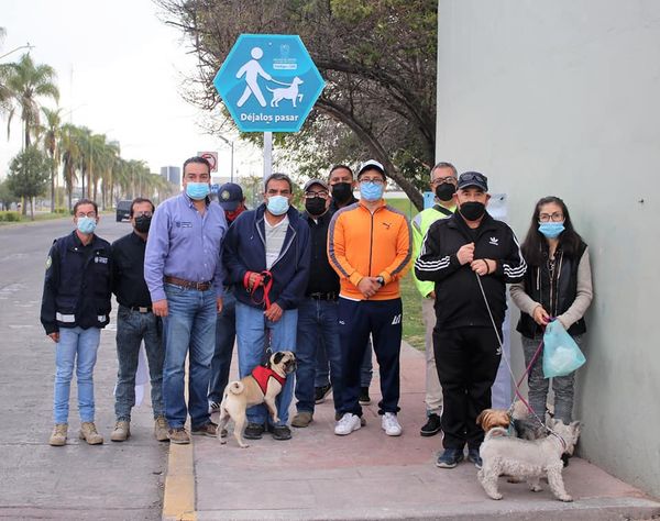 Colocan de paso peatonal con mascotas en Aguascalientes