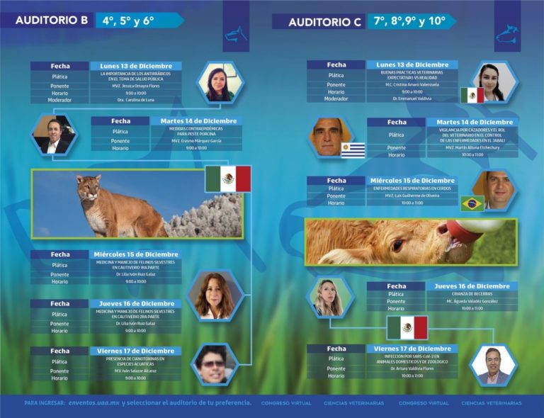 UAA realiza segunda edición del congreso virtual del departamento de Ciencias Veterinarias