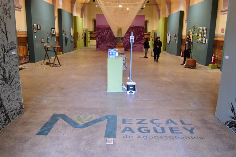 Mezcal y Maguey de Aguascalientes una exposición que tienes que ver