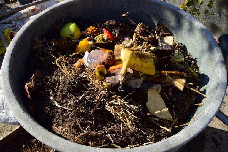 ¿Cómo usas los residuos orgánicos? Aquí te contamos de qué trata el compostaje