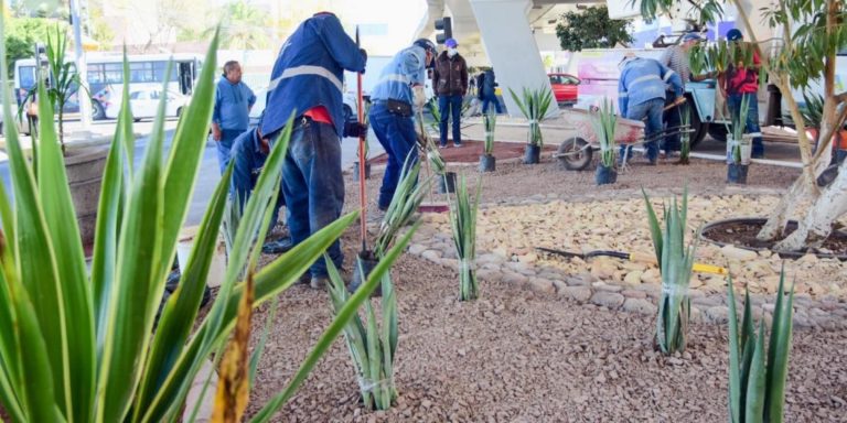 Avanza presidencia municipal de Aguascalientes en la rehabilitación de bajo puentes