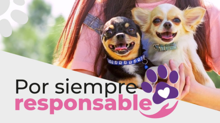 Llama municipio de Aguascalientes a ser ciudadanos responsables al adquirir u obsequiar mascotas