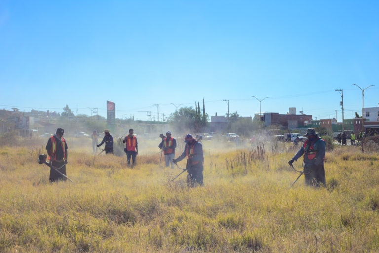 Presidencia municipal de Aguascalientes realiza mega operativo de limpieza y desmalezado 