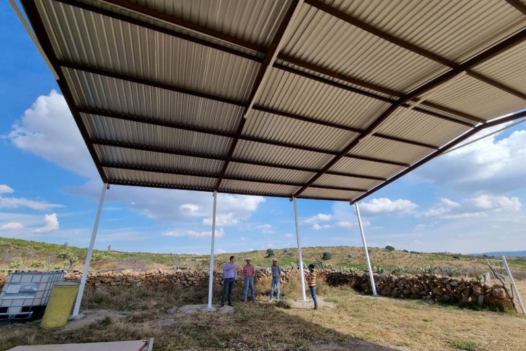 Sedrae visitó a productores que recibieron apoyos de programas estatales en Aguascalientes  