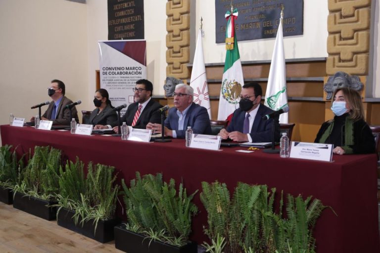 México presidirá la Subcomisión para América Latina de la Comisión de Venecia para el periodo 2021-2023   