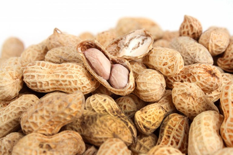 Al cierre de 2021, la producción nacional de cacahuate superará las 100 mil toneladas