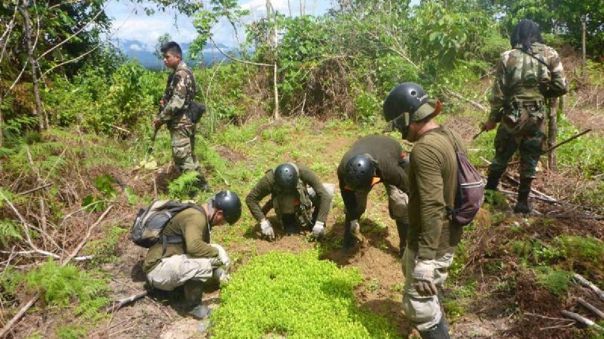 Repunta la economía… gracias al nuevo boom de la cocaína